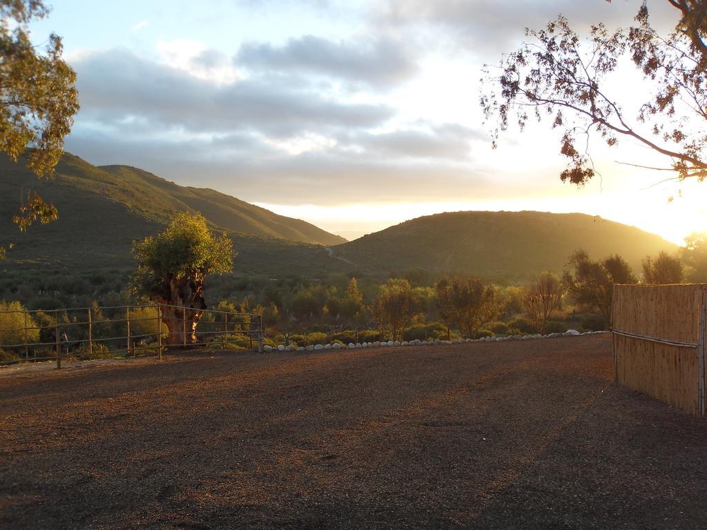 Orchard Cottage McGregor Luaran gambar